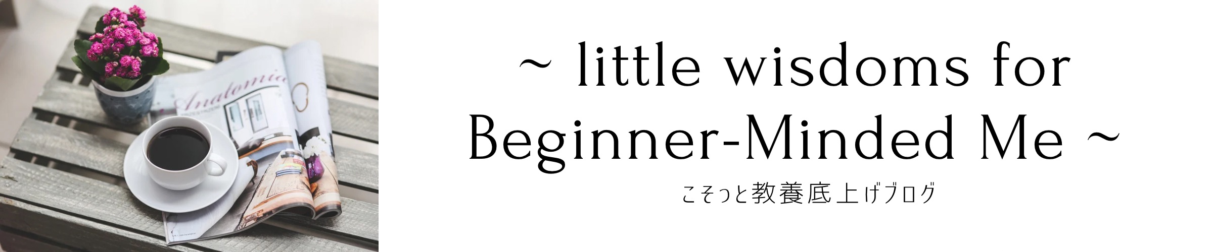 ~ little wisdoms for Beginner-Minded Me ~こそっと教養底上げブログ